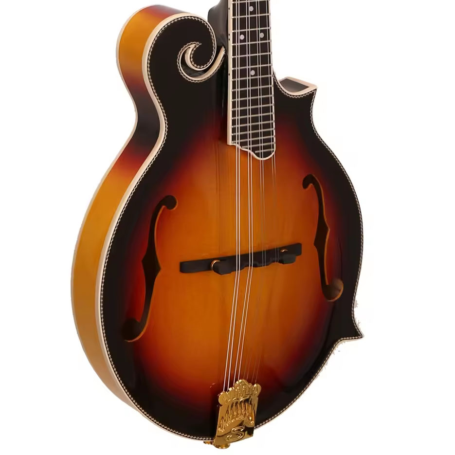 8-String Mandolin, SUNBURST Gl - Musical Instrument Mandolin review and price
