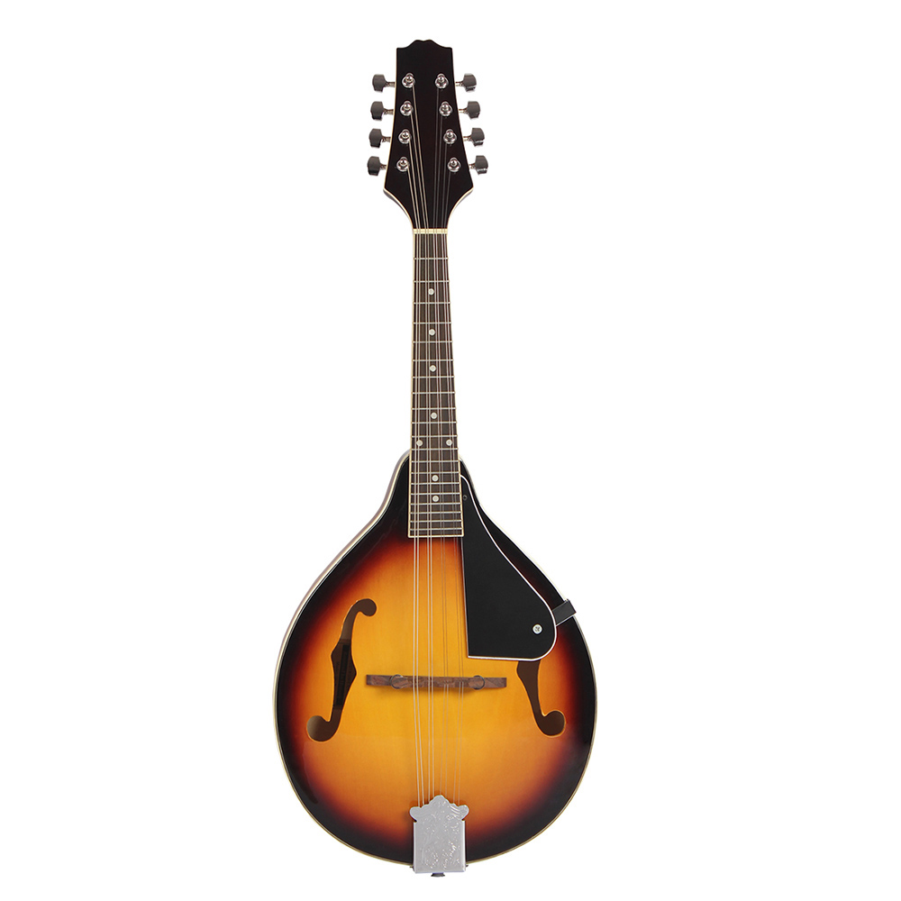 IRIN Mandolin 8-String Guitar  - Mandolin A Style review and price