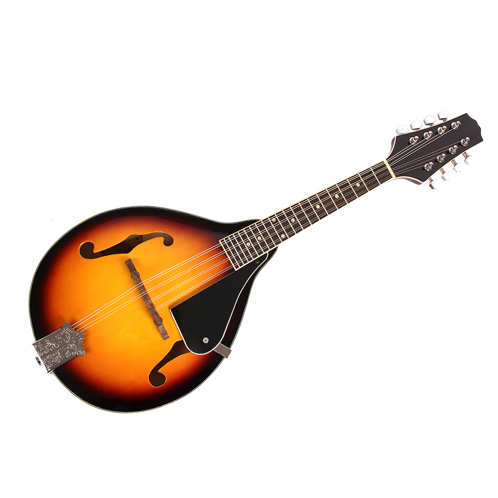 IRIN Mandolin 8-String Guitar  - Mandolin A Style review and price