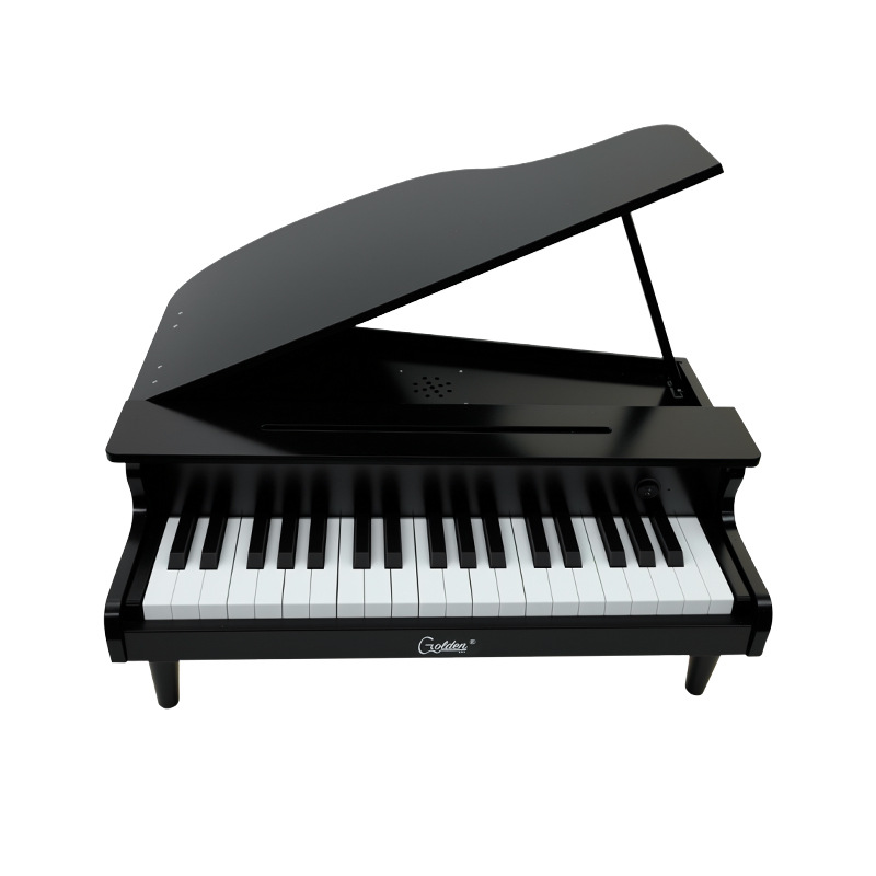 Kids Piano Toy, Electronic Key - Musical Instrument Old review and price