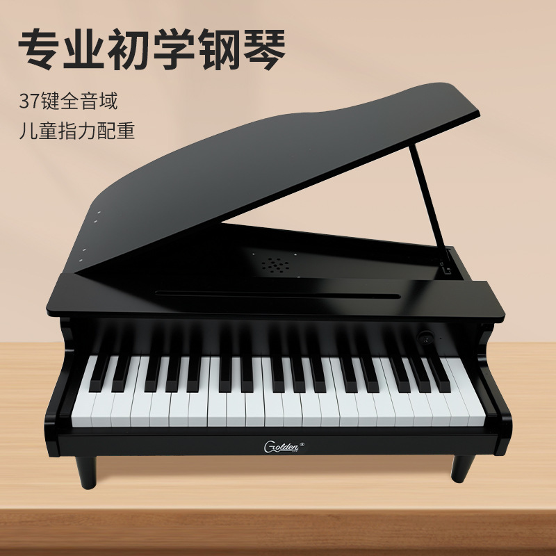 Kids Piano Toy, Electronic Key - Musical Instrument Old review and price