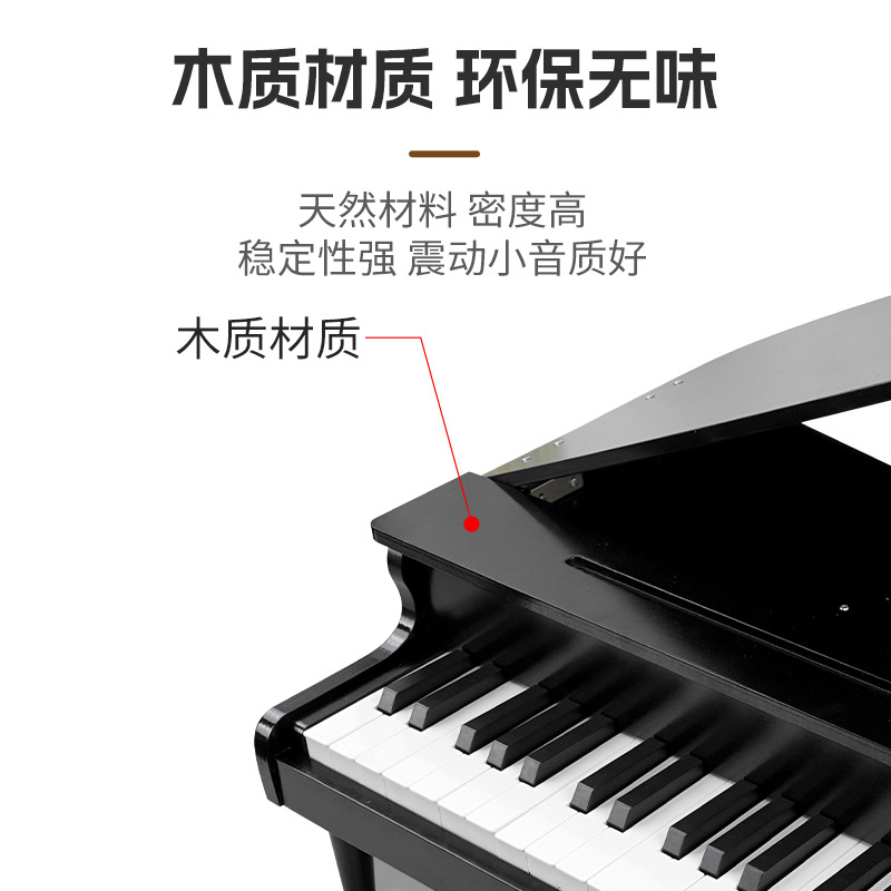 Kids Piano Toy, Electronic Key - Musical Instrument Old review and price